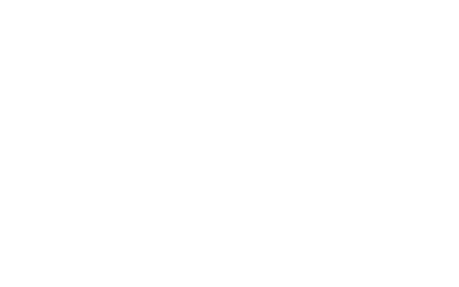 blazingwildz11.com